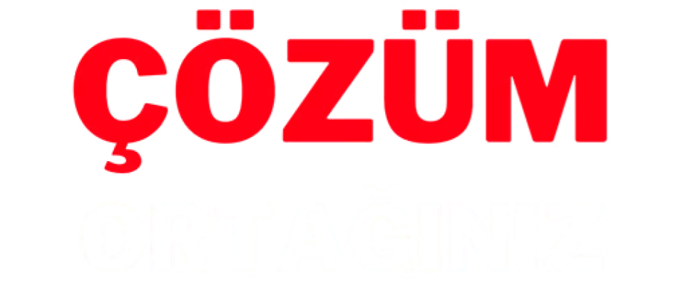 çözüm ortağı